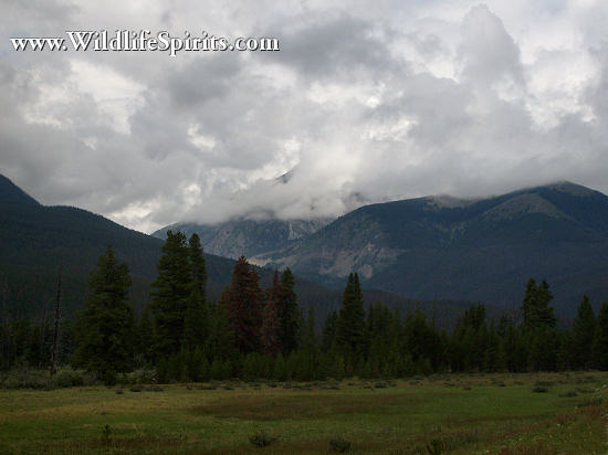 Click Picture to send as an  E-PostCard 65k 550x412